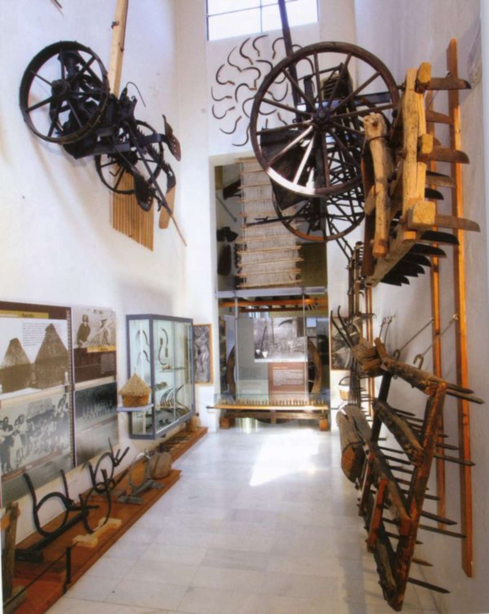 Sezione "la via del grano" (foto E. Salvatori)